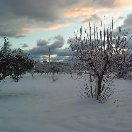 Dimora Antonianna In Valle D'itria Bed & Breakfast Locorotondo