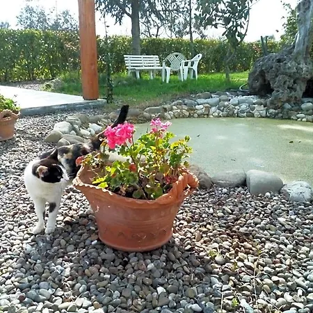 Dimora Antonianna In Valle D'itria