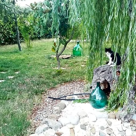 Dimora Antonianna In Valle D'itria Frühstückspension 3*