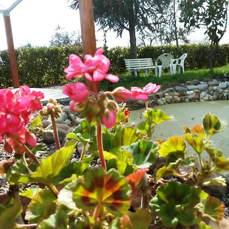 Dimora Antonianna In Valle D'itria Bed & Breakfast
