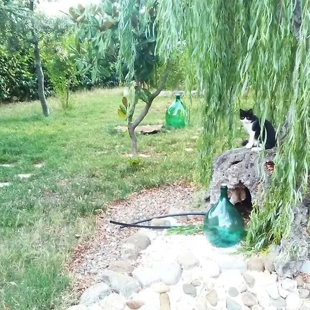Dimora Antonianna In Valle D'itria 4*